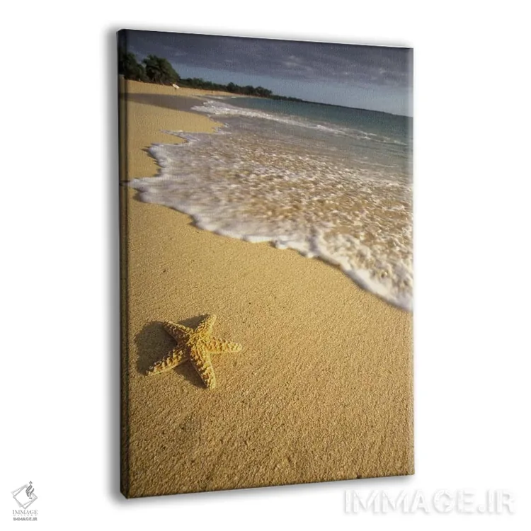 تابلو دکوراتیو Big Beach, Makena State Park, Maui, Hawai'i, USA,ستاره دریای… اثر دارل گالین - نمای پرسپکتیو محصول