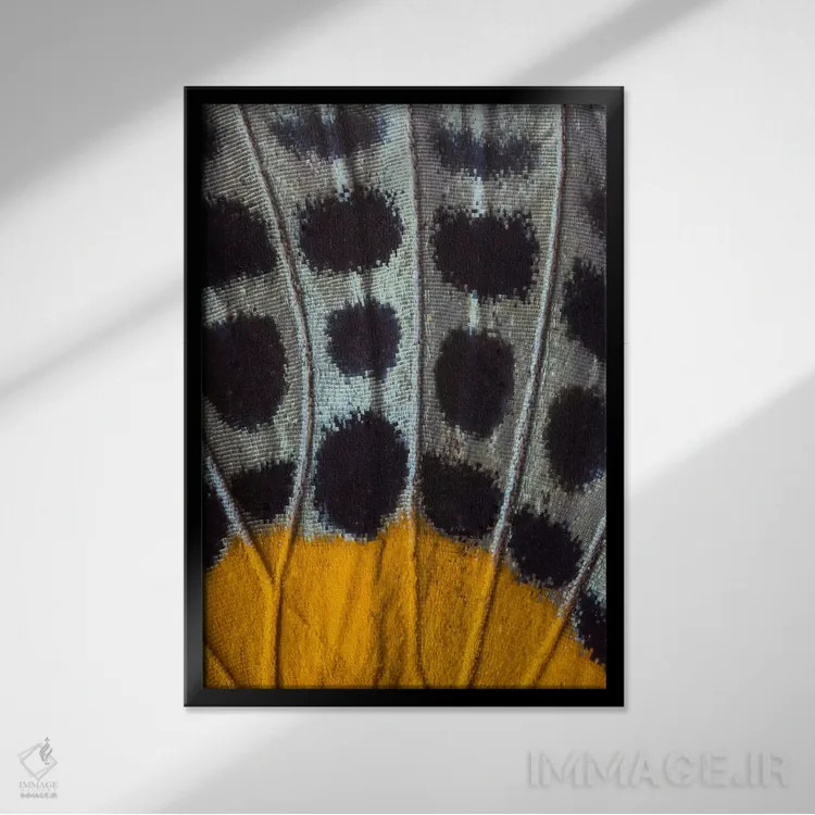 تابلو دکوراتیو عکاسی ماکرو از بال پروانه شماره هفده اثر دارل گالین - نمای قابدار مشکی