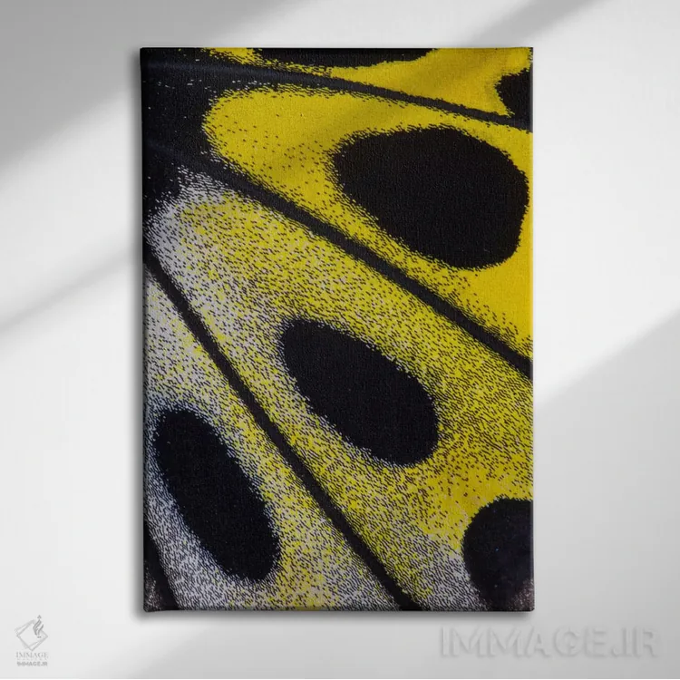 تابلو دکوراتیو عکاسی ماکرو از بال پروانه شماره بیست وهشت اثر دارل گالین - نمای روبهرو روی دیوار