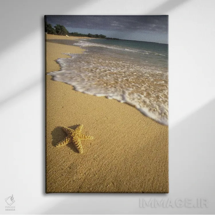 تابلو دکوراتیو Big Beach, Makena State Park, Maui, Hawai'i, USA,ستاره دریای… اثر دارل گالین - نمای روبهرو روی دیوار