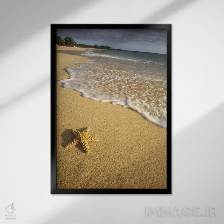تابلو دکوراتیو Big Beach, Makena State Park, Maui, Hawai'i, USA,ستاره دریای… اثر دارل گالین - نمای قابدار مشکی