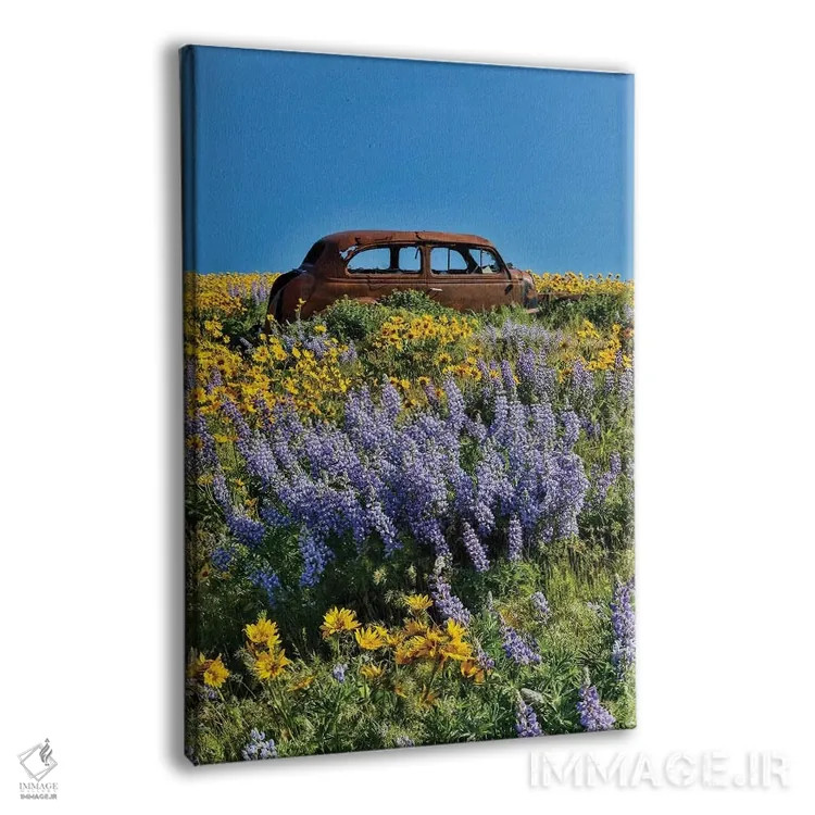 تابلو دکوراتیو Dalles Mountain Ranch State Park, Washington State I,ماشین ر… اثر دارل گالین - نمای پرسپکتیو محصول