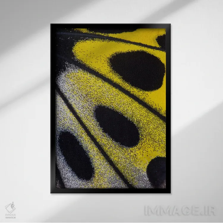 تابلو دکوراتیو عکاسی ماکرو از بال پروانه شماره بیست وهشت اثر دارل گالین - نمای قابدار مشکی