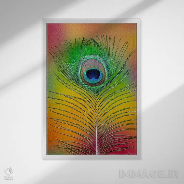 تابلو دکوراتیو یک پر دم طاووس نر اثر دارل گالین - نمای قابدار سفید
