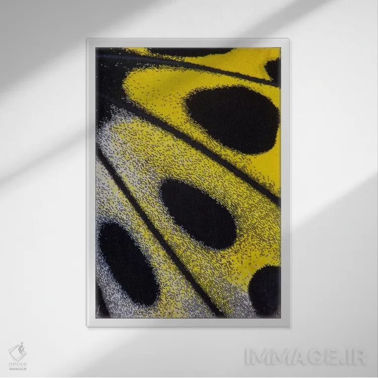 تابلو دکوراتیو عکاسی ماکرو از بال پروانه شماره بیست وهشت اثر دارل گالین - نمای قابدار سفید