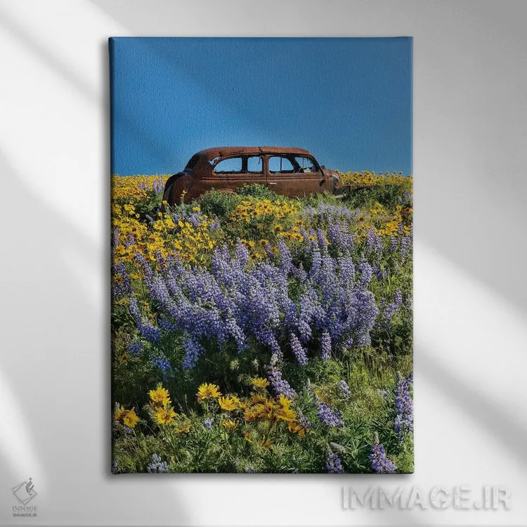 تابلو دکوراتیو Dalles Mountain Ranch State Park, Washington State I,ماشین ر… اثر دارل گالین - نمای روبهرو روی دیوار