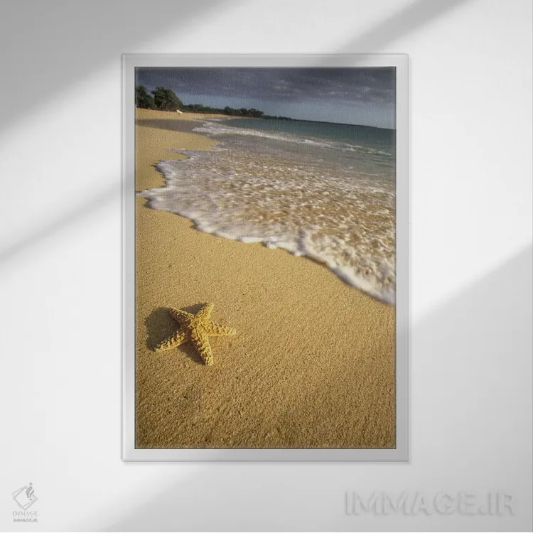 تابلو دکوراتیو Big Beach, Makena State Park, Maui, Hawai'i, USA,ستاره دریای… اثر دارل گالین - نمای قابدار سفید