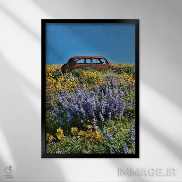 تابلو دکوراتیو Dalles Mountain Ranch State Park, Washington State I,ماشین ر… اثر دارل گالین - نمای قابدار مشکی