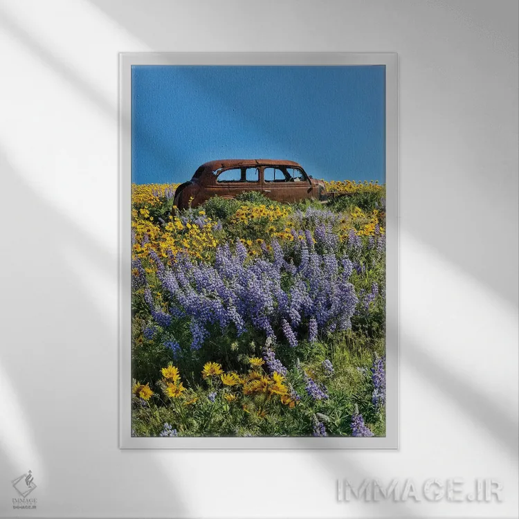 تابلو دکوراتیو Dalles Mountain Ranch State Park, Washington State I,ماشین ر… اثر دارل گالین - نمای قابدار سفید
