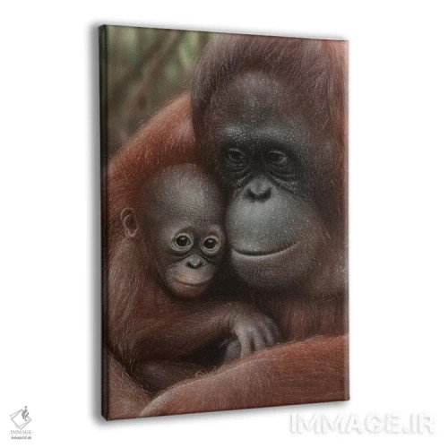 تابلو دکوراتیو مادر و بچه اورانگوتان اثر کالین بوگل - نمای پرسپکتیو محصول