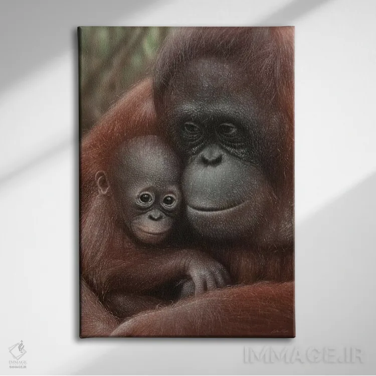 تابلو دکوراتیو مادر و بچه اورانگوتان اثر کالین بوگل - نمای روبهرو روی دیوار