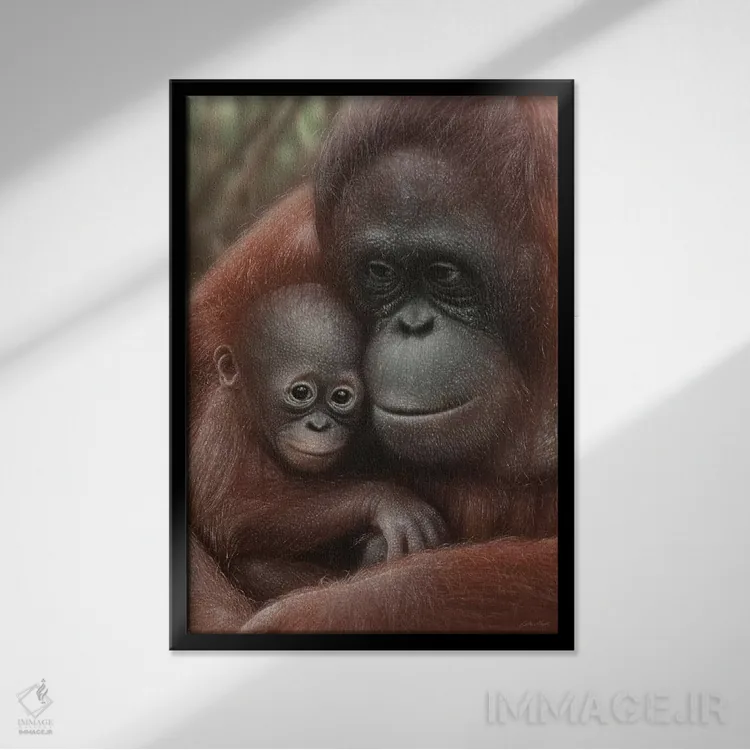 تابلو دکوراتیو مادر و بچه اورانگوتان اثر کالین بوگل - نمای قابدار مشکی