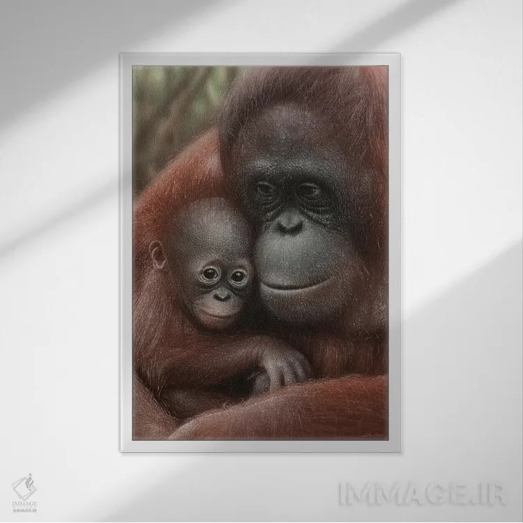 تابلو دکوراتیو مادر و بچه اورانگوتان اثر کالین بوگل - نمای قابدار سفید