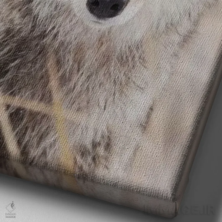 تابلو دکوراتیو کایوت در پاییز اثر کن آرچر - نمای نزدیک بافت بوم