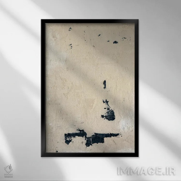 تابلو دکوراتیو ۱۰۶ اثر شانتال کوستو - نمای قابدار مشکی
