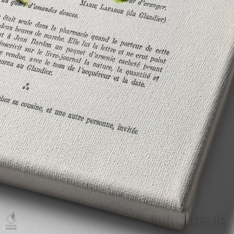 تابلو دکوراتیو قورباغه شاهزاده اثر کوکو د پاریس - نمای نزدیک بافت بوم