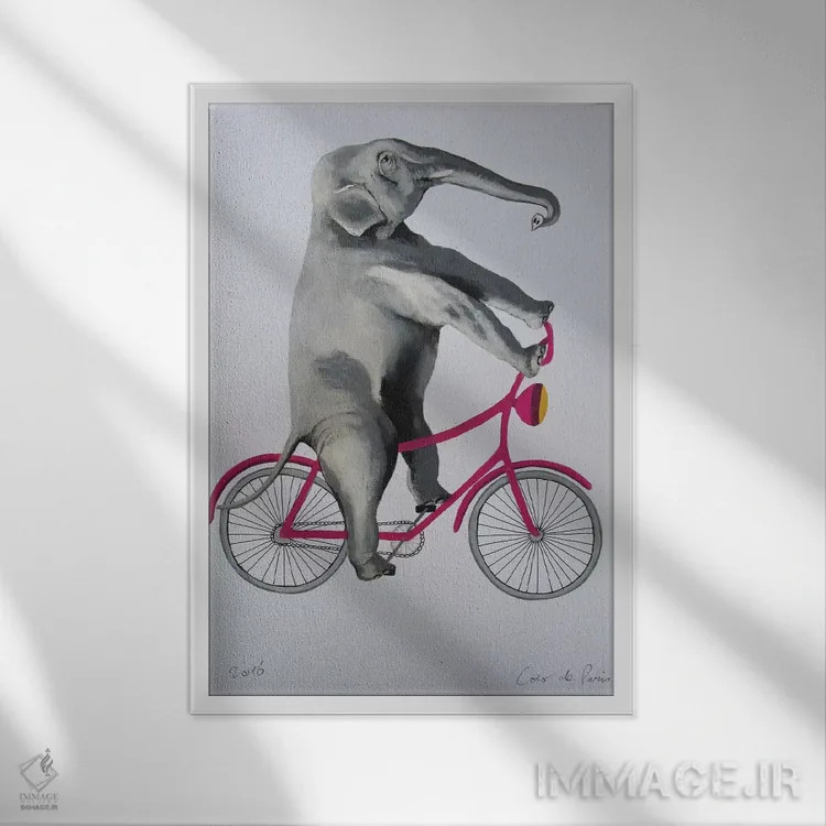 تابلو دکوراتیو فیل روی دوچرخه اثر کوکو د پاریس - نمای قابدار سفید