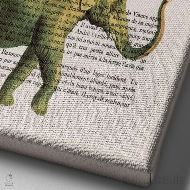 تابلو دکوراتیو فیل با بادکنک ها اثر کوکو د پاریس - نمای نزدیک بافت بوم