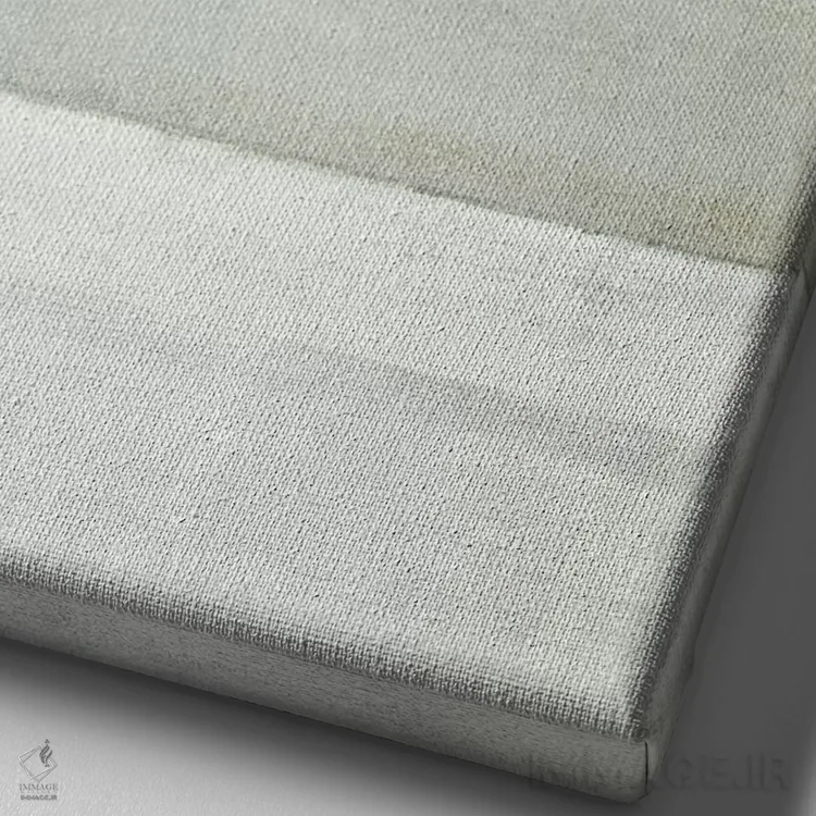 تابلو دکوراتیو "تستوسترون" اثر کارول لین تایس - نمای نزدیک بافت بوم