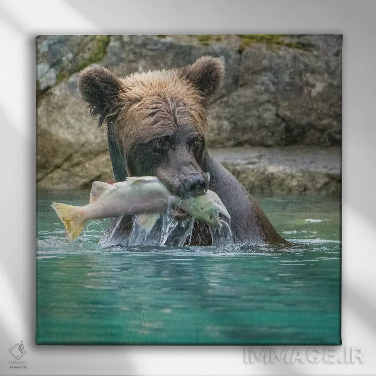 تابلو دکوراتیو Lake Clark Grizzly Bear Holds Fish While Sitting In The Water… اثر جنت مویر - نمای روبهرو روی دیوار