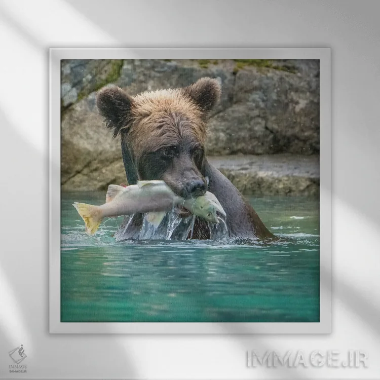 تابلو دکوراتیو Lake Clark Grizzly Bear Holds Fish While Sitting In The Water… اثر جنت مویر - نمای قابدار سفید