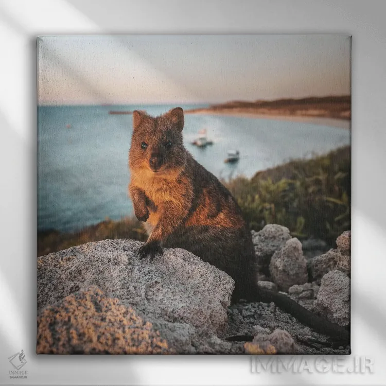 تابلو دکوراتیو کوئوککا در غروب جزیره راتنست اثر جیمز وودیکا - نمای روبهرو روی دیوار