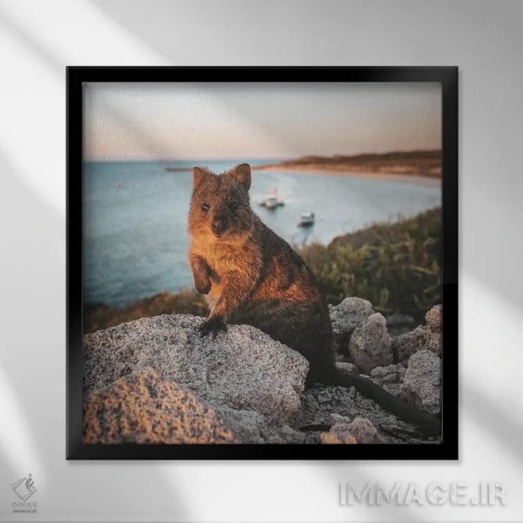 تابلو دکوراتیو کوئوککا در غروب جزیره راتنست اثر جیمز وودیکا - نمای قابدار مشکی