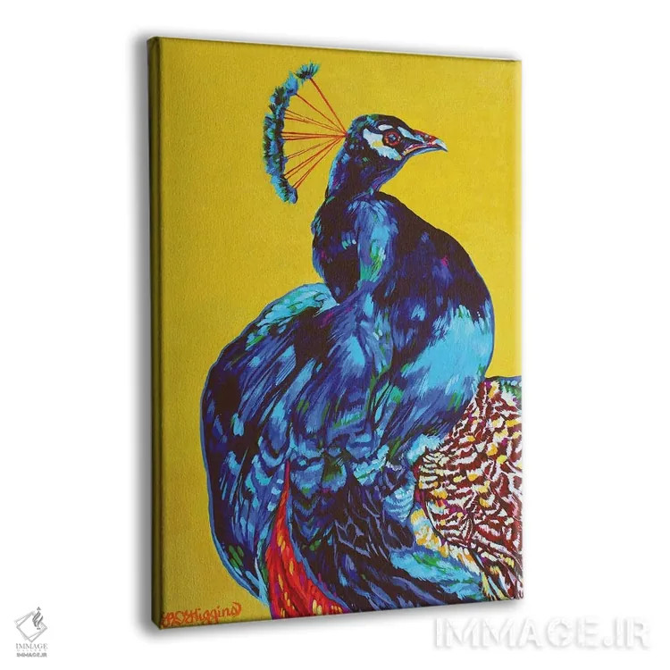 تابلو دکوراتیو طاووس اثر دریک هیگینز - نمای پرسپکتیو محصول