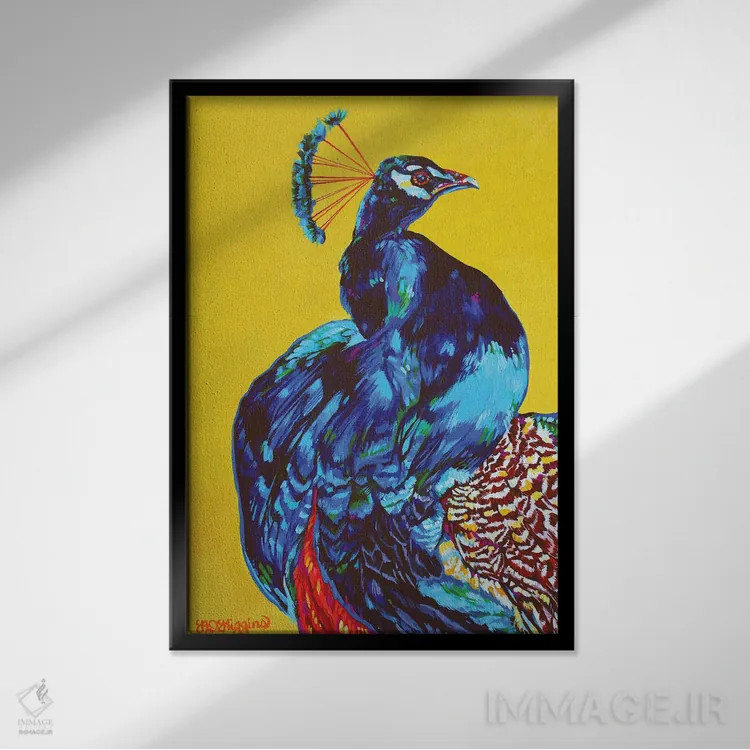 تابلو دکوراتیو طاووس اثر دریک هیگینز - نمای قابدار مشکی