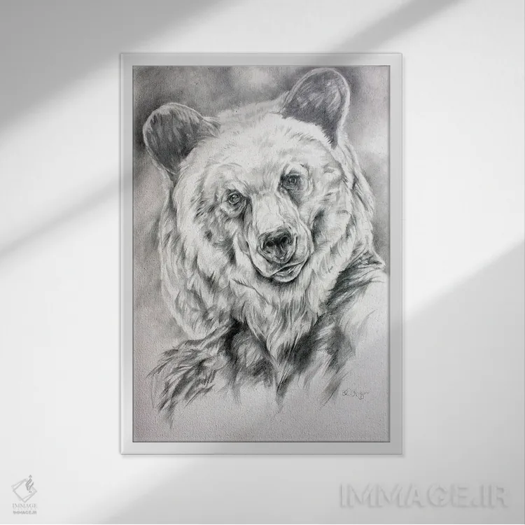 تابلو دکوراتیو طرح خرس گریزلی اثر دریک هیگینز - نمای قابدار سفید
