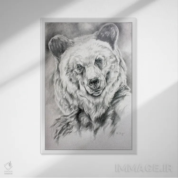 تابلو دکوراتیو طرح خرس گریزلی اثر دریک هیگینز - نمای قابدار سفید