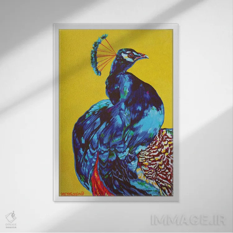 تابلو دکوراتیو طاووس اثر دریک هیگینز - نمای قابدار سفید