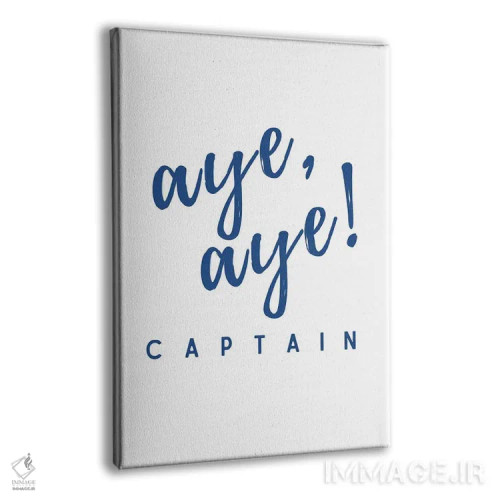 تابلو دکوراتیو دریایی و ناوی، چشم چپ کاپیتان! اثر پیج ترنر - نمای پرسپکتیو محصول