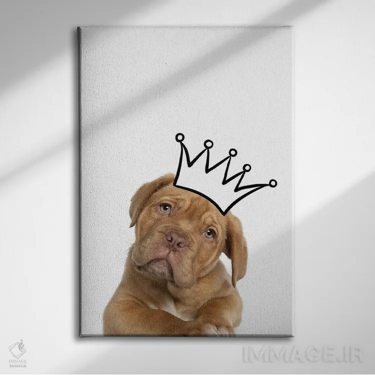 تابلو دکوراتیو توله سگ با تاج - ماستیف اثر پیج ترنر - نمای روبهرو روی دیوار
