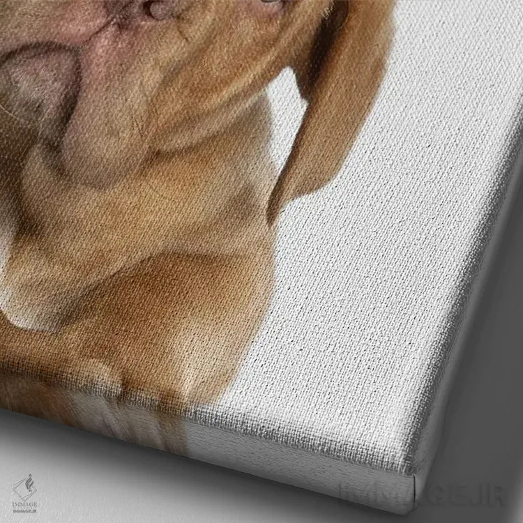 تابلو دکوراتیو توله سگ با تاج - ماستیف اثر پیج ترنر - نمای نزدیک بافت بوم