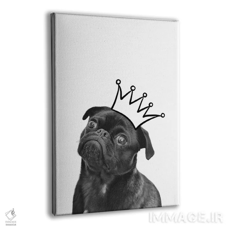 تابلو دکوراتیو توله سگ با تاج - پاگ اثر پیج ترنر - نمای پرسپکتیو محصول