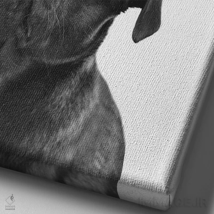 تابلو دکوراتیو توله سگ با تاج - پاگ اثر پیج ترنر - نمای نزدیک بافت بوم