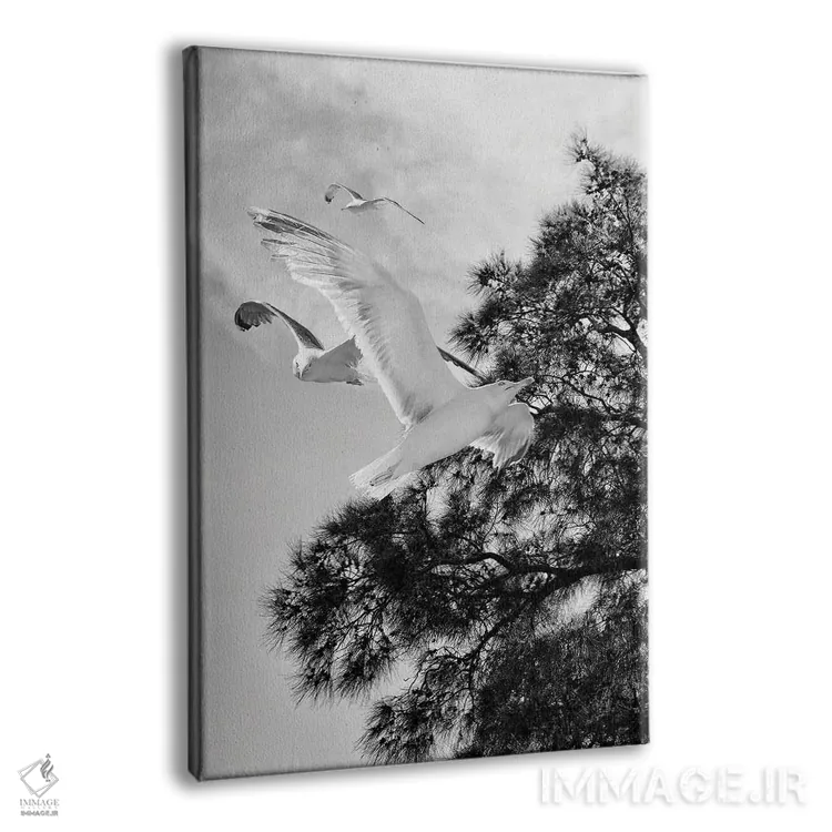 تابلو دکوراتیو پرواز مرغ های دریایی با سیلوئت درخت اثر پیج ترنر - نمای پرسپکتیو محصول