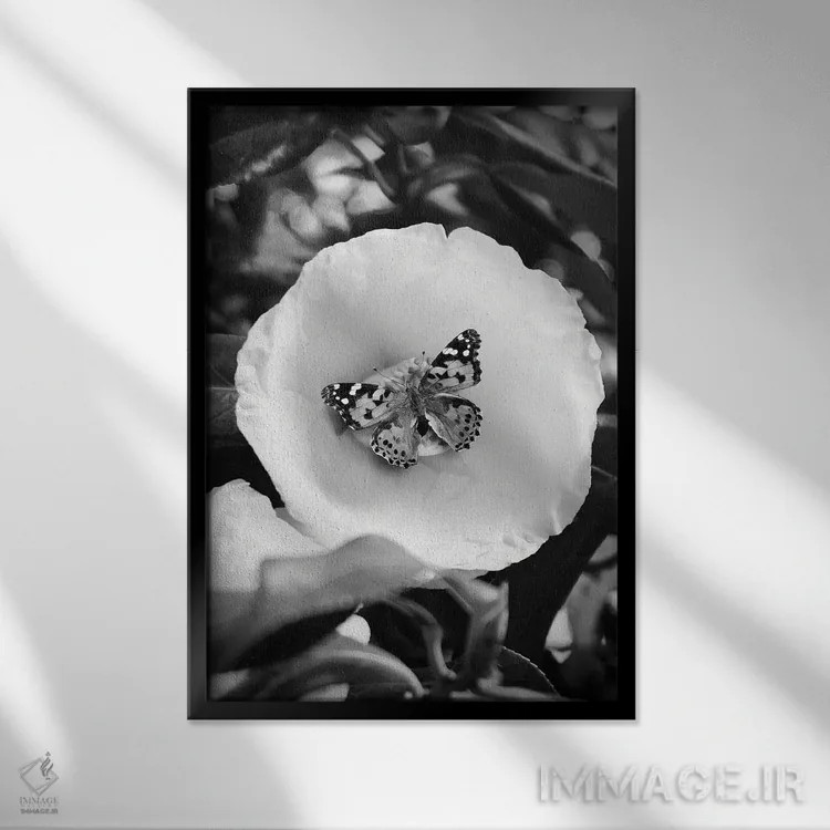 تابلو دکوراتیو عکس سیاه و سفید گل با پروانه اثر پیج ترنر - نمای قابدار مشکی