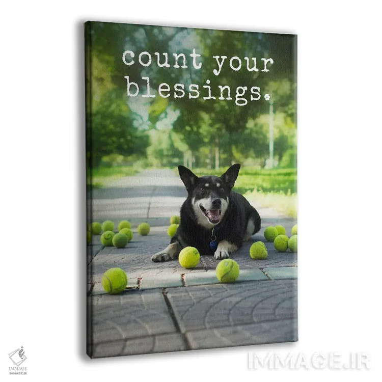 تابلو دکوراتیو برکت ها اثر داگ ایز گود اند کت ایز گود - نمای پرسپکتیو محصول