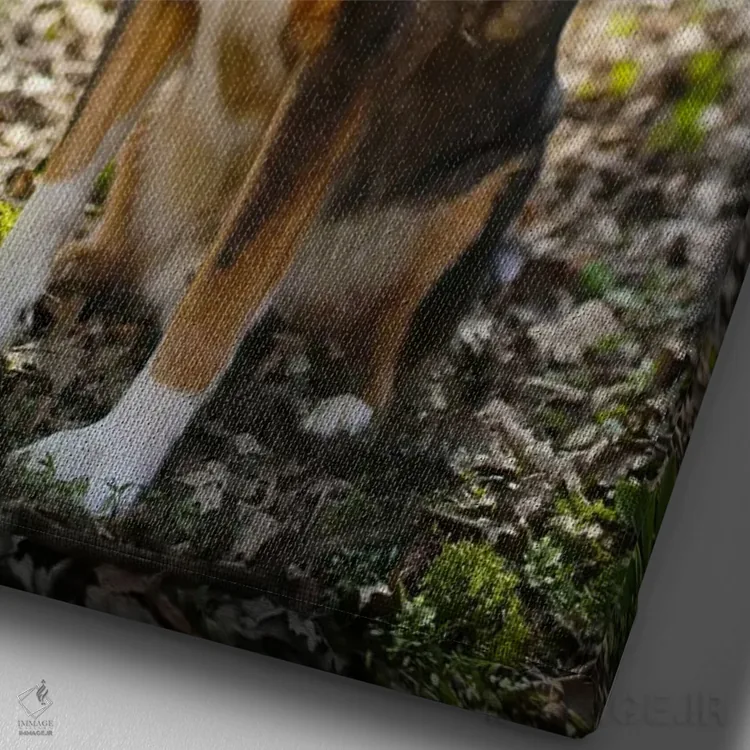 تابلو دکوراتیو سگ های بزرگ اثر داگ ایز گود اند کت ایز گود - نمای نزدیک بافت بوم