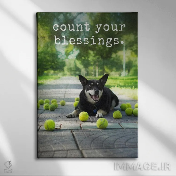 تابلو دکوراتیو برکت ها اثر داگ ایز گود اند کت ایز گود - نمای روبهرو روی دیوار