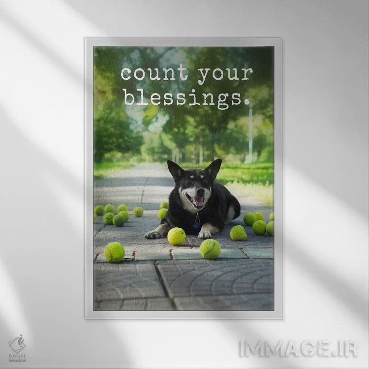 تابلو دکوراتیو برکت ها اثر داگ ایز گود اند کت ایز گود - نمای قابدار سفید