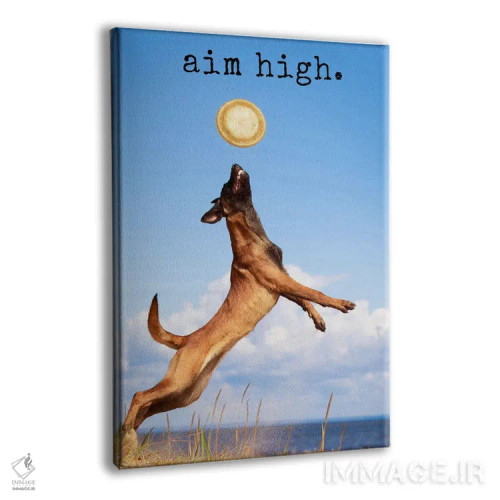 تابلو دکوراتیو هدف را بالا بگیر اثر داگ ایز گود اند کت ایز گود - نمای پرسپکتیو محصول