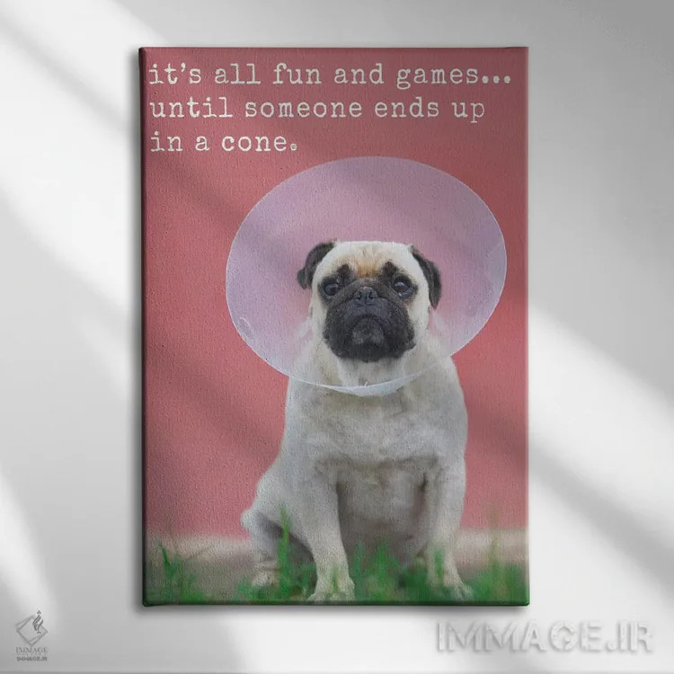 تابلو دکوراتیو تفریح و بازی اثر داگ ایز گود اند کت ایز گود - نمای روبهرو روی دیوار