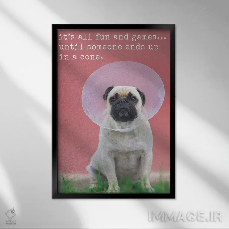 تابلو دکوراتیو تفریح و بازی اثر داگ ایز گود اند کت ایز گود - نمای قابدار مشکی