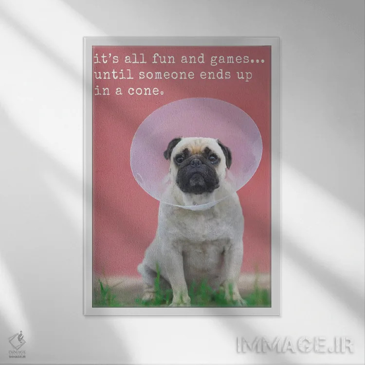 تابلو دکوراتیو تفریح و بازی اثر داگ ایز گود اند کت ایز گود - نمای قابدار سفید