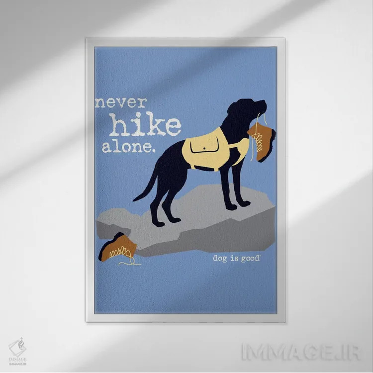 تابلو دکوراتیو هرگز تنها کوه پیمایی نکن اثر داگ ایز گود اند کت ایز گود - نمای قابدار سفید