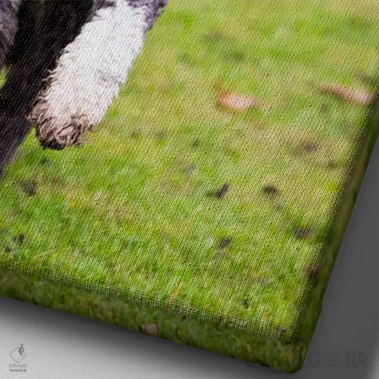 تابلو دکوراتیو بزرگ بیندیش اثر داگ ایز گود اند کت ایز گود - نمای نزدیک بافت بوم