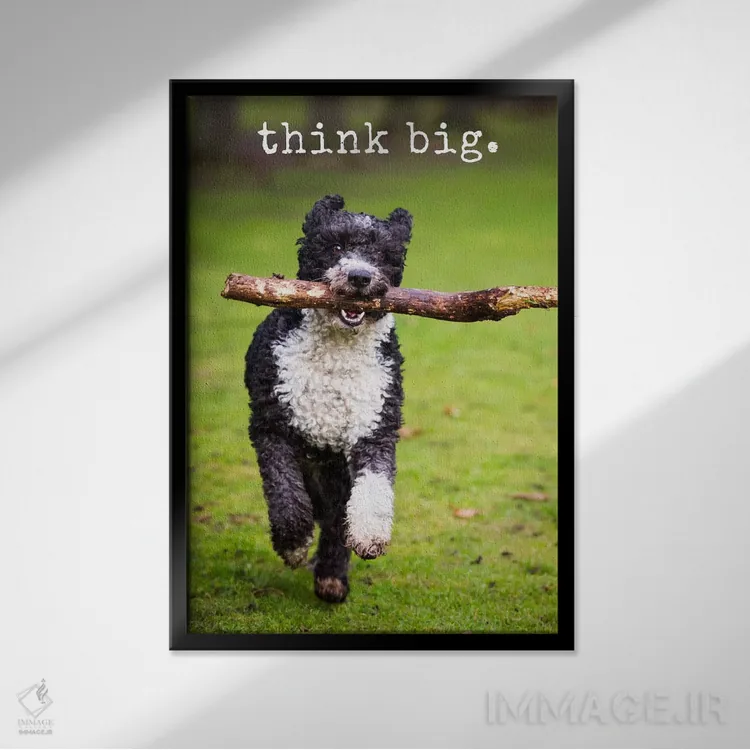 تابلو دکوراتیو بزرگ بیندیش اثر داگ ایز گود اند کت ایز گود - نمای قابدار مشکی